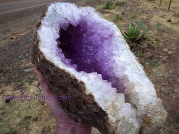 Amethystgeode aus dem Vulkangebiet Axum/Äthiopien. (Photo: Tobias Schorr)