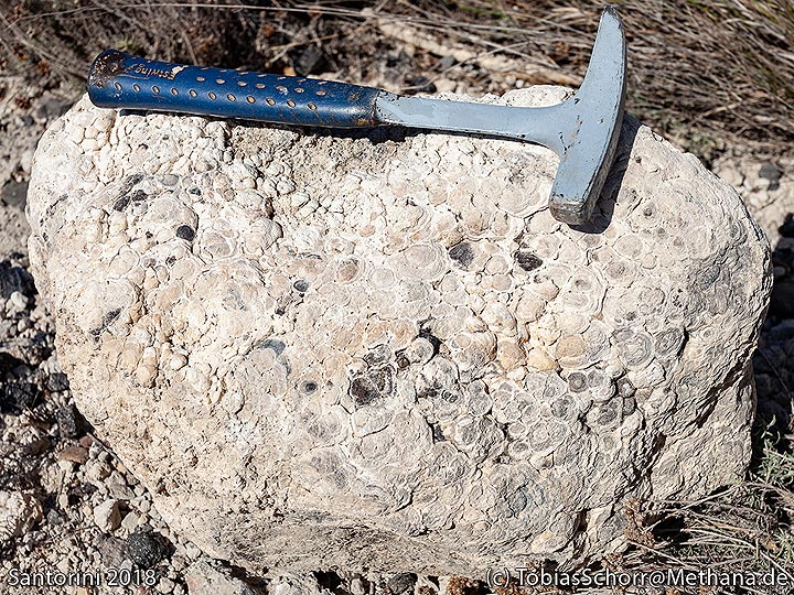 Ein großer fossiler Stromatolith in Imerovigli. (Photo: Tobias Schorr)