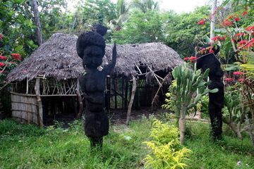 Sculpture sur tronc de fougère à Port Résolution (Y.Chebli, Volcano Discovery) (Photo: Yashmin Chebli)