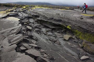 Bizarre erossion structures of the ash plain in the Ambrym caldera. (Photo: Tom Pfeiffer)