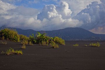 Cratère Benbow vu depuis la plaine de cendres (Photo: Tom Pfeiffer)