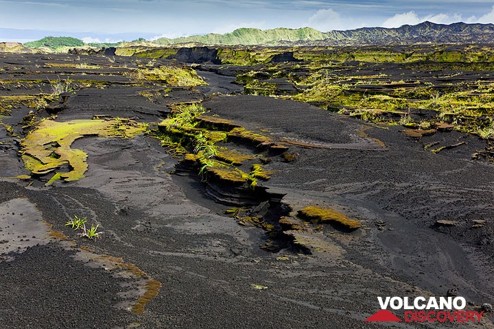 Tausende von kleinen und größeren Erosionsrinnen laufen zu einem der Hauptausflüsse im Westen der Kaldera zusammen. (Photo: Tom Pfeiffer)