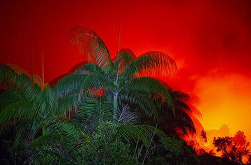 Silhouetten und Feuer (Photo: Tom Pfeiffer)