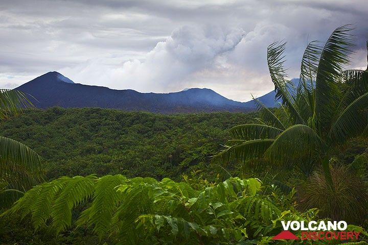 Der Benbow Krater und die Kalderakante von außerhalb gesehen. Die Flanken der Ambrym Kaldera sind mit dichtem Regenwald bewachsen. (Photo: Tom Pfeiffer)