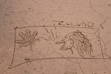 Expression artistique sur les dépôts argileux près du Marum
31ambr.jpg (Photo: Yashmin Chebli)