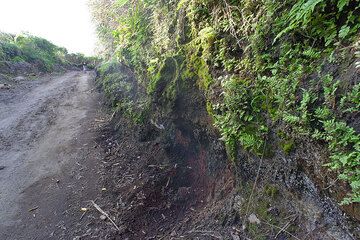 The way up to Yasur cut into wet ash deposits where warm steam escapes from the ground. (Photo: Tom Pfeiffer)