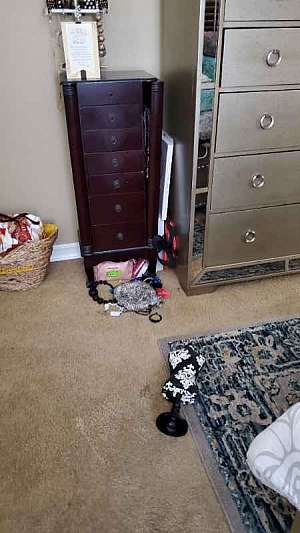 20200919_0... .jpg (public domain)