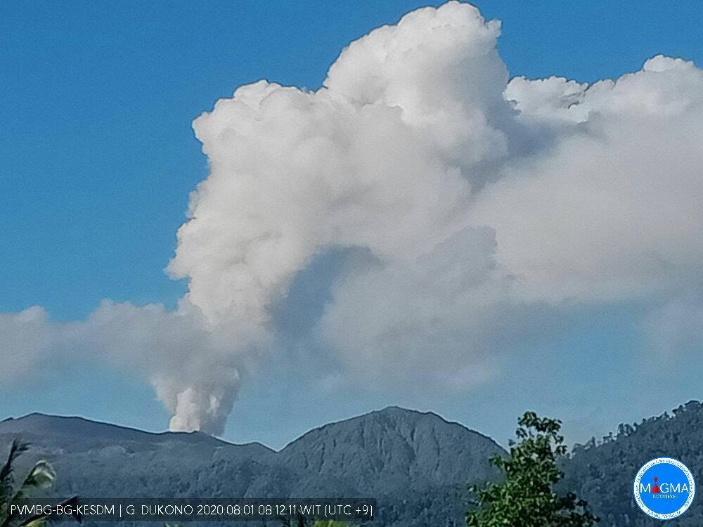 White steam plume from Dukono volcano on 1 August (image: PVMBG)