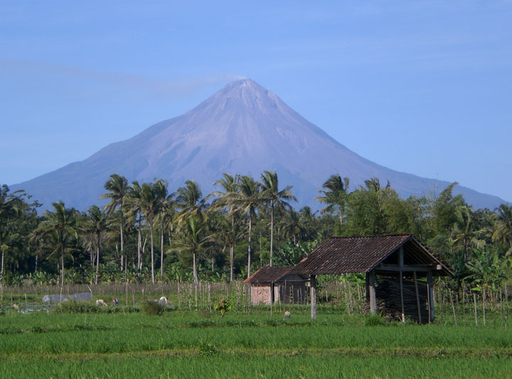 Majestic Merapi