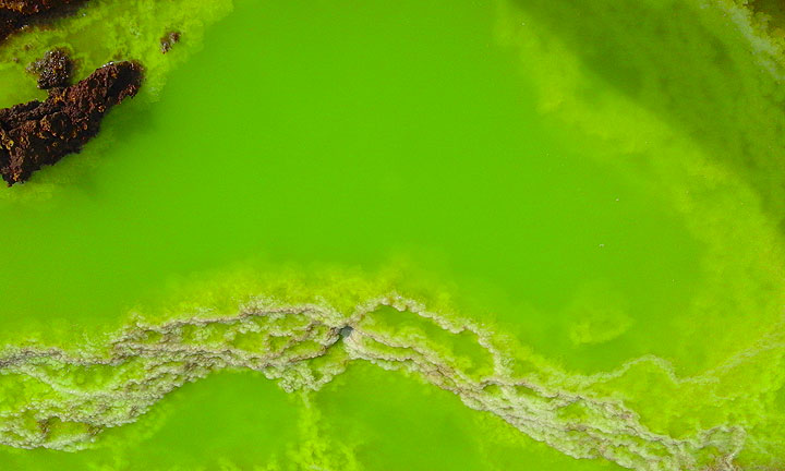 Green and yellow salt pond at Dallol (image: Enku Mulugheta)