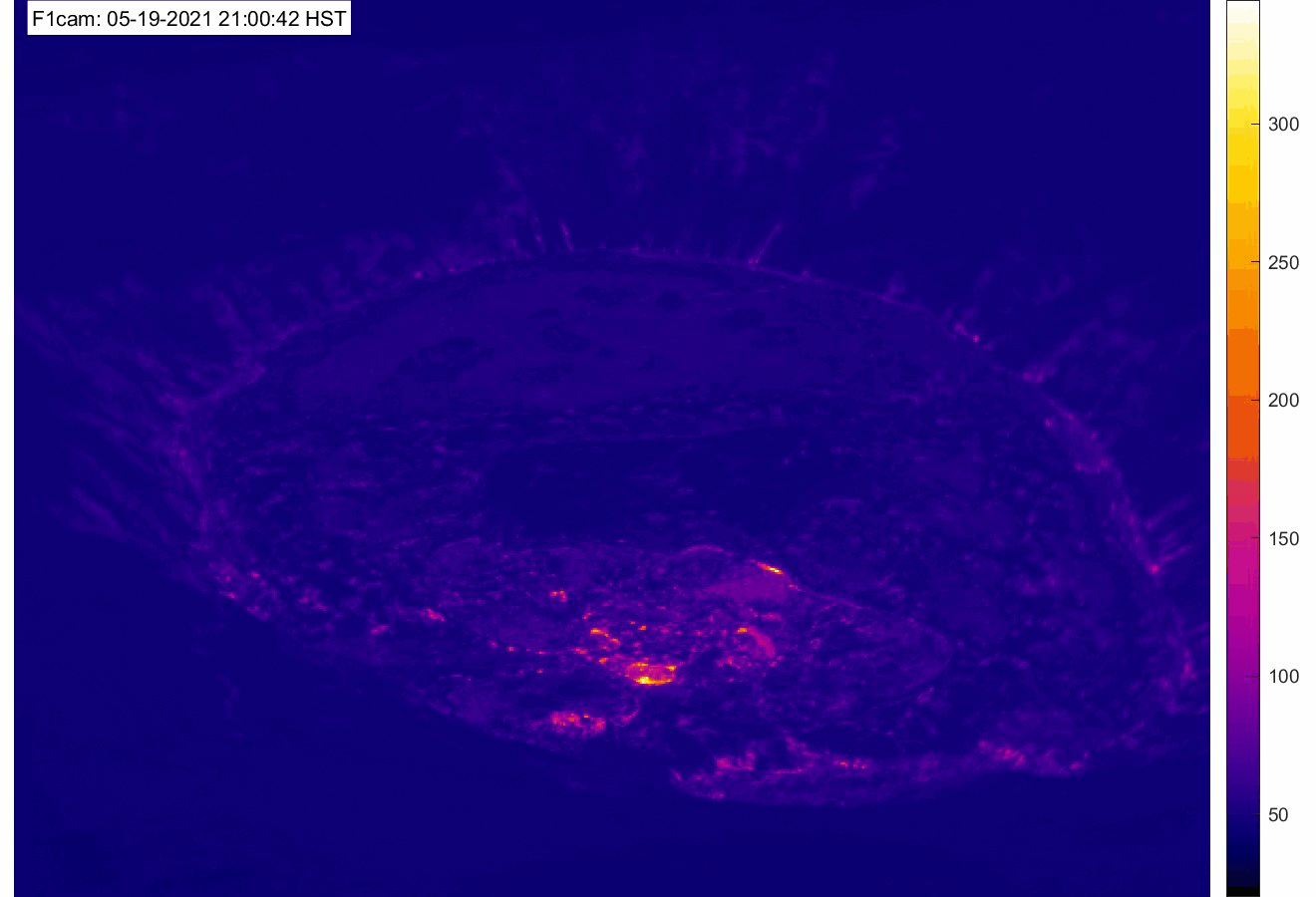 Thermal image loop from the USGS-HVO F1 camera on May 20, 2021, the 5-month milestone since the start of the eruption.