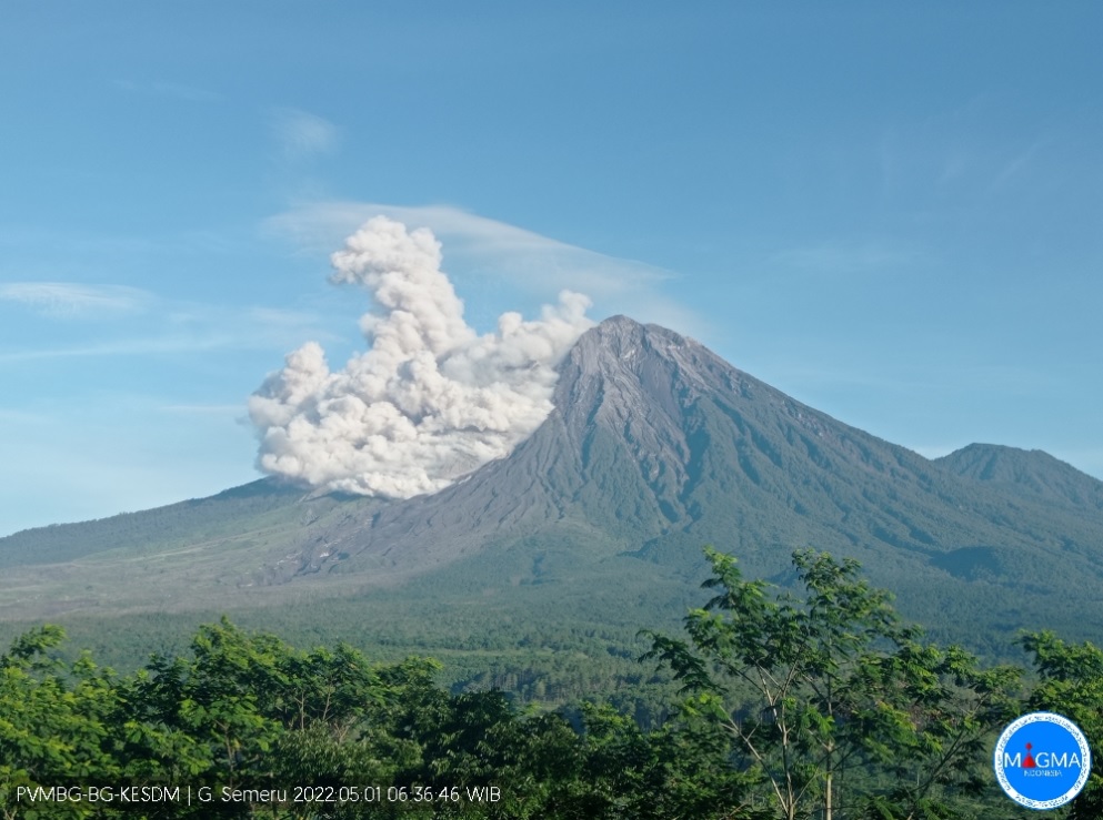 Pyroclastic flow from Semeru volcano today (image: PVMBG)