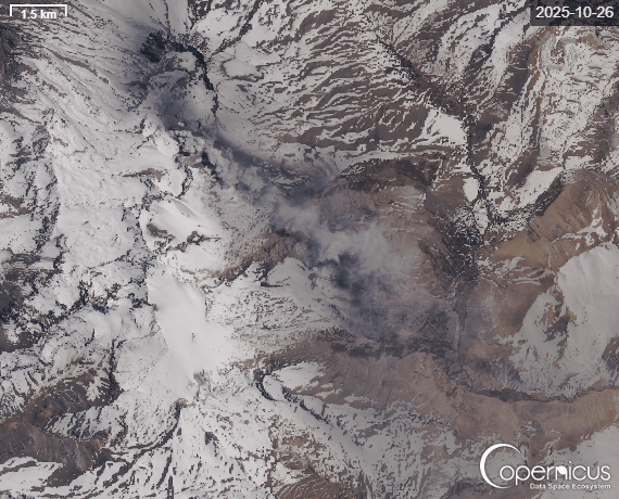 Planchón-Peteroa volcano (Central Chile and Argentina): elevated near-frequent emissions