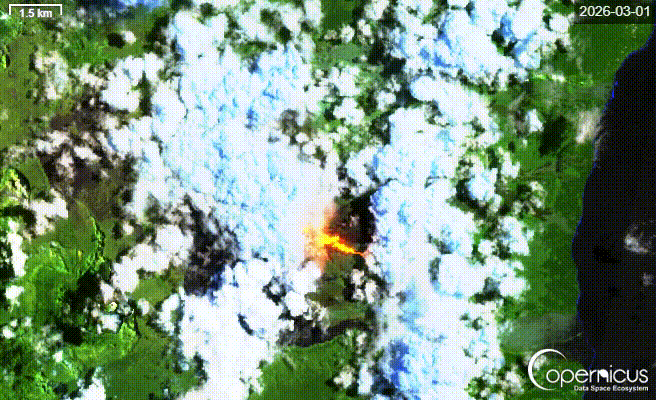 Piton de la Fournaise volcano (La Réunion): eruption fluctuates, lava flow front might cut main road within hours