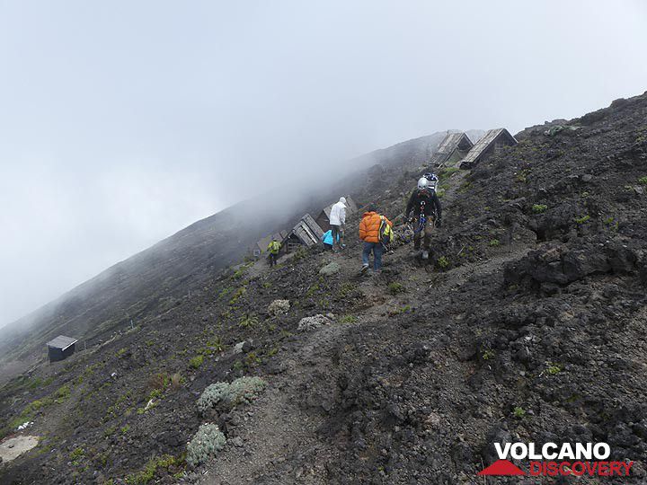 Nyiragongo volcano & Mountain gorillas: tour photos June 2017