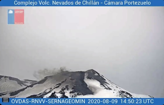 Lava flows from Nevados de Chillán volcano on 9 August (image: SERNAGEOMIN)