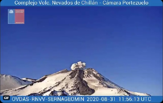 Lava flow and gas content from Nevados de Chillán volcano on 31 August (image: SERNAGEOMIN)
