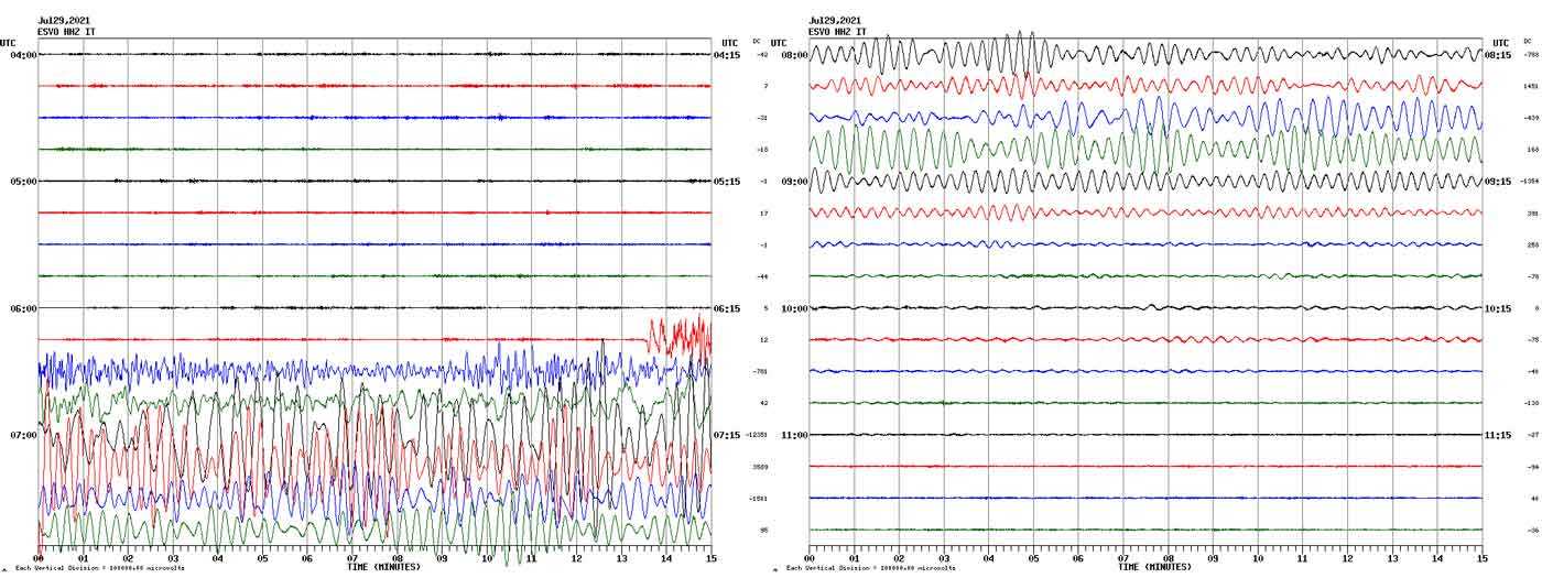 Seismic waves of the Alaska earthquake earlier today recorded on Etna's ESVO seismic station in more than 9000 km distance (image: INGV Catania)