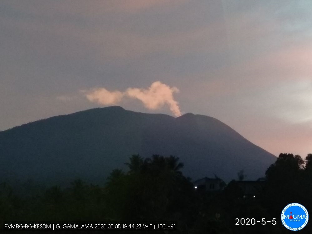 A white plume from Gamalama volcano yesterday (image: PVMBG)