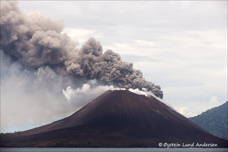 Explosion from Krakatau on 28 March 2013 (Photo: Oystein Lund Andersen)