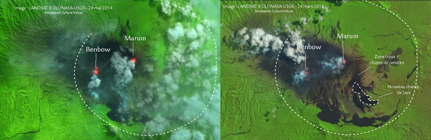 Landsat 8 images showing the new lava field erupted in Feb 2015 (Culture Volcan)