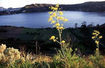 The Averna caldera lake