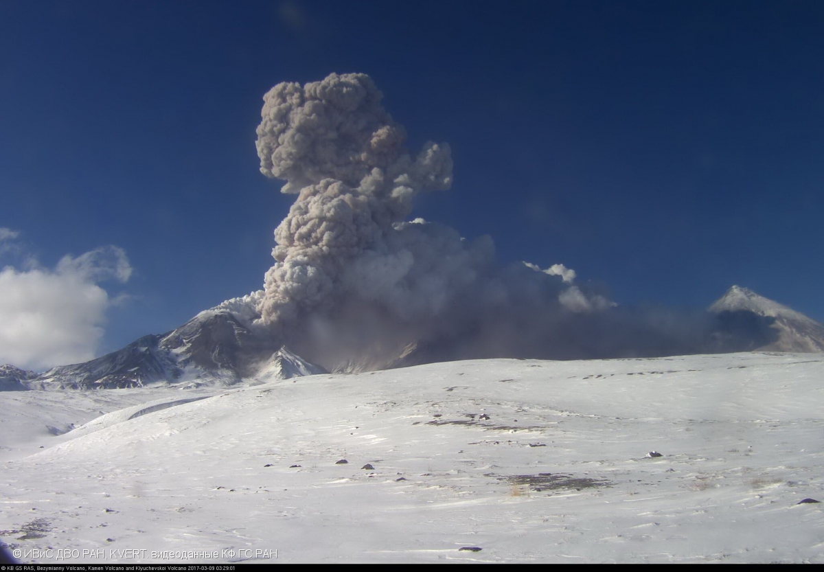 Dense ash column generated by small pyroclastic flows at Bezymianny volcano today (image: KVERT)
