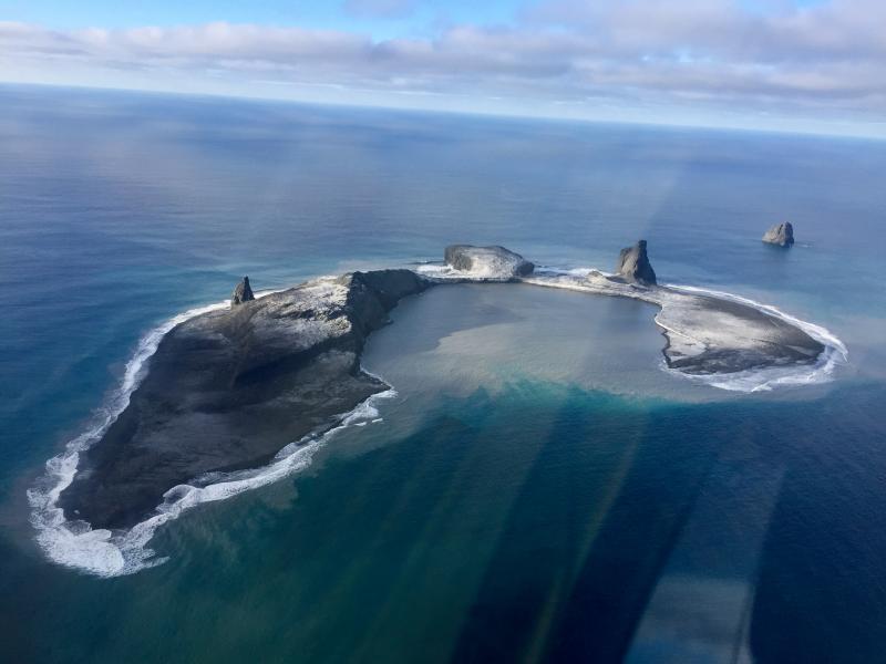 Photo of Bogoslof Island taken by Dan Leary of Maritime Helicopters on 10 January 2017. View is to the northwest and the active vent is likely submarine and in the center of the turbid bay open to the southeast. (AVO)