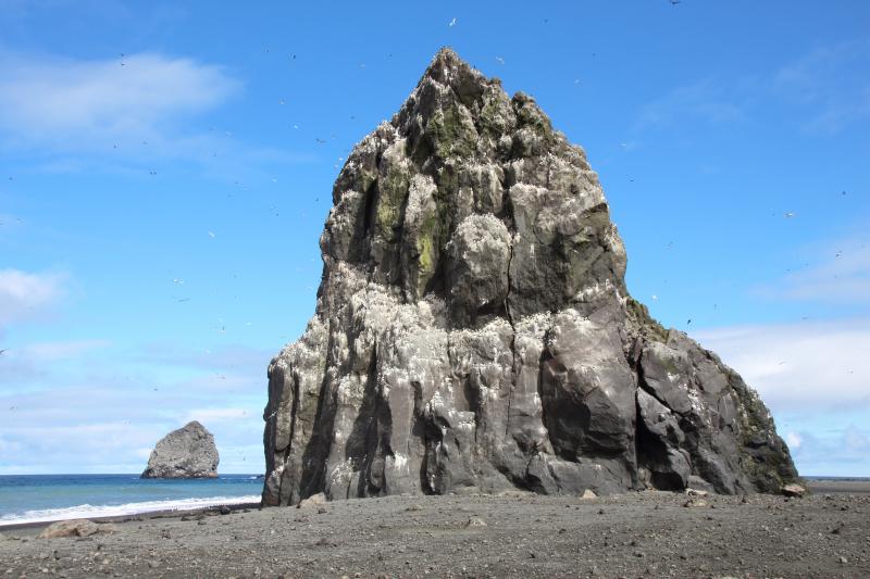 Bogoslof Island in Alaska with the eroded remnants of Castle Rock lava dome from the 1796 eruption (image: AVO)