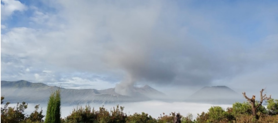 Ash emissions dissipated from Bromo volcano yesterday morning (image: PVMBG)