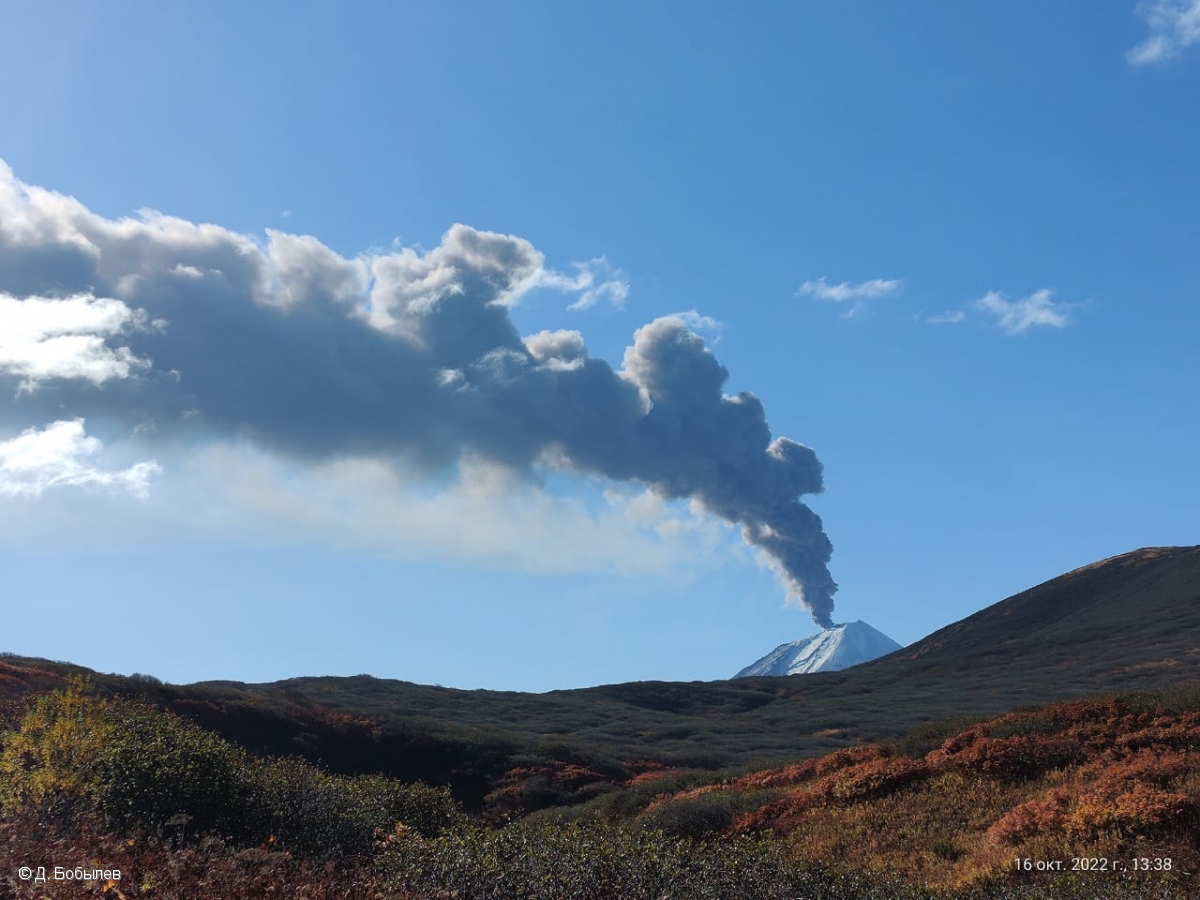 Continuing ash emissions from Chikurachki volcano on 16 October (image: KVERT)