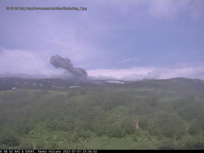 Weak-to-moderate eruption at Ebeko yesterday (image: CultureVolcano/twitter)