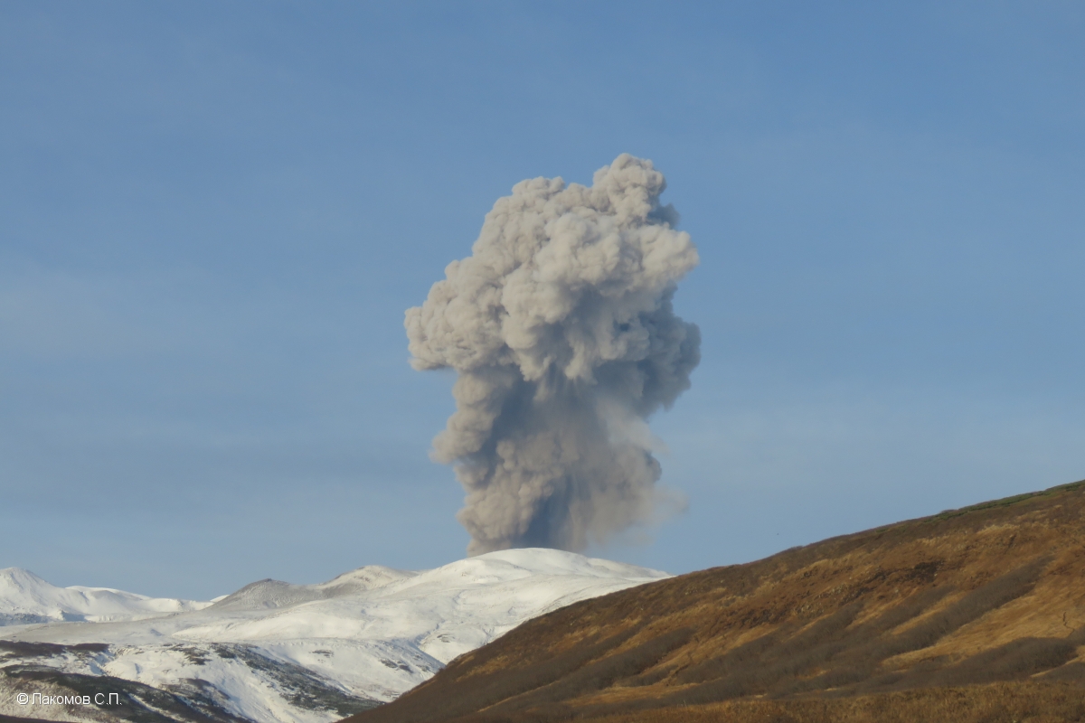 Vulcanian eruption at Ebeko volcano in the morning of 10 November (image: KVERT)