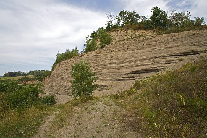 The geologiscal site Wingertsbergwand with pumice layers of the Laacher Lake eruption in 9900 B.C.