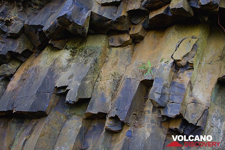 Basalt from Ethiopia - the columnar jointing is a result of slow cooling, allowing to distribute contraction fractures to arrange in a hexagonal columnar pattern, the geometry that requires the least energy to provide the necessary space when the rock slowly contracts.