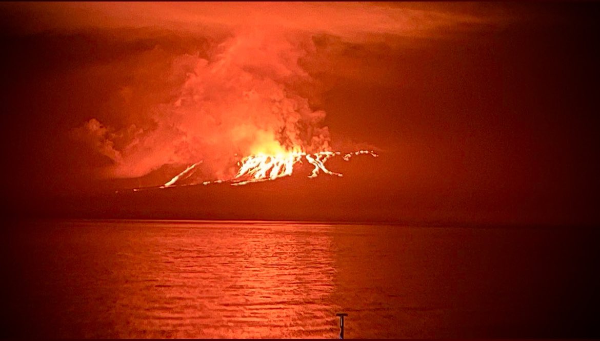 Multiple lava flows traveling down the southeastern flank of Fernandina volcano last night (image: IGEPN)