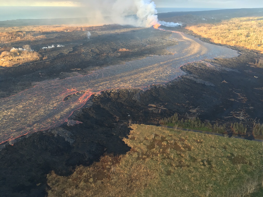 Fissure 8 cone, lava fountain, and channelized lava flow on the morning overflight - June 19 at about 6:10am HST. One can also see the difference in the effect of the eruption gasses on the vegetation downwind (top left) and upwind (bottom right) of the lava. (HVO/USGS)