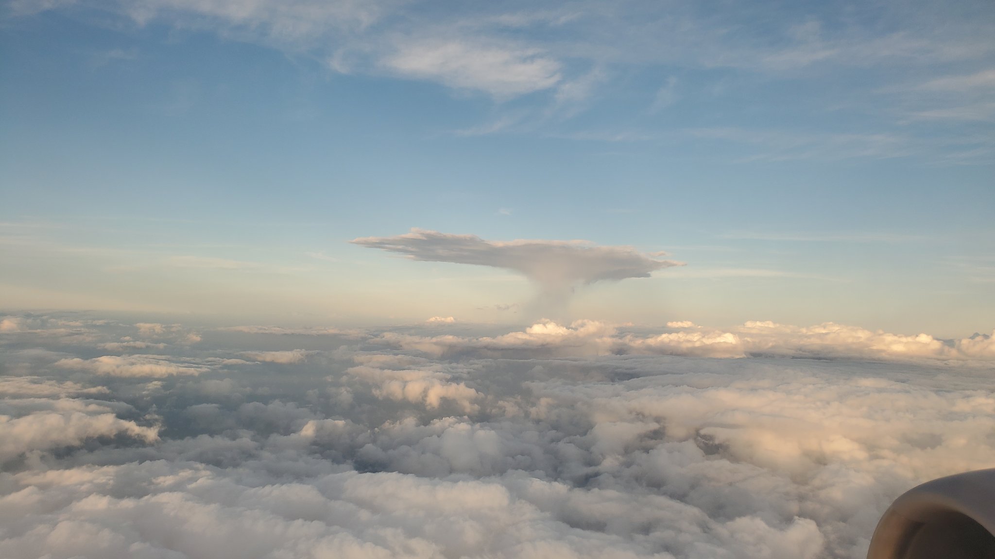 Umbrella cloud from Fukutoku-Okanoba volcano as seen from plane (image: @yoshikin2289/twitter)