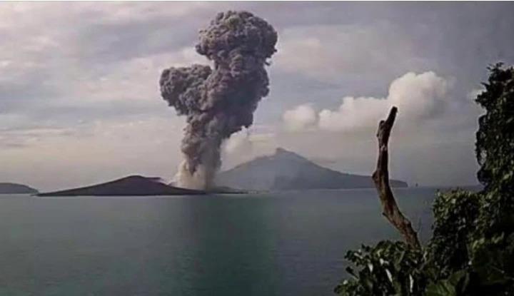Vigorous eruption from Krakatau yesterday (image: PVMBG)