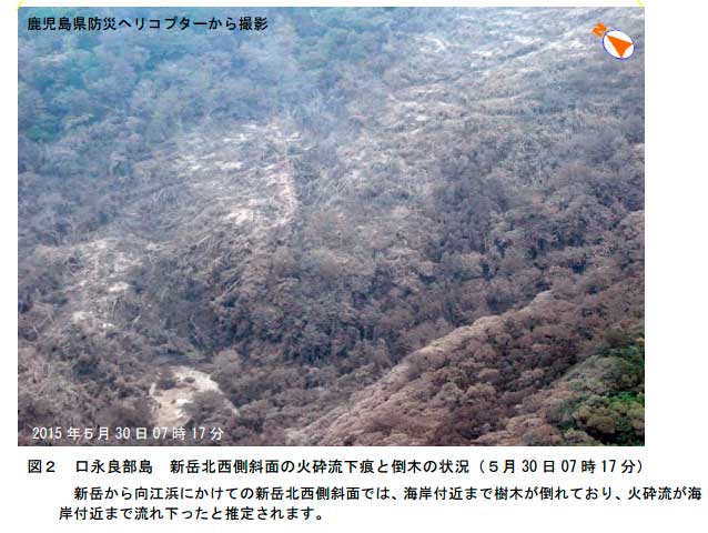 Forest devastated by pyroclastic surge
