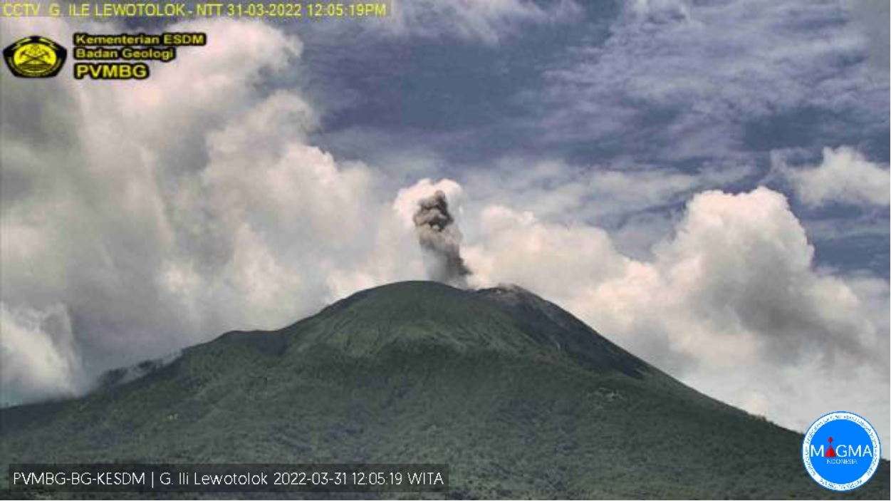 Explosion at Lewotolo volcano today (image: PVMBG)