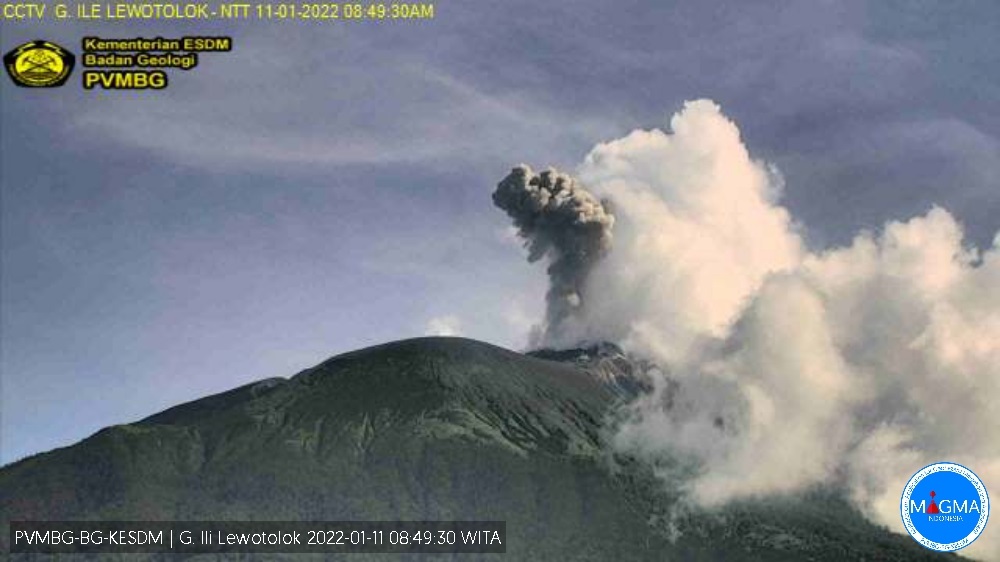Explosion at Lewotolo volcano on 11 January (image: PVMBG)