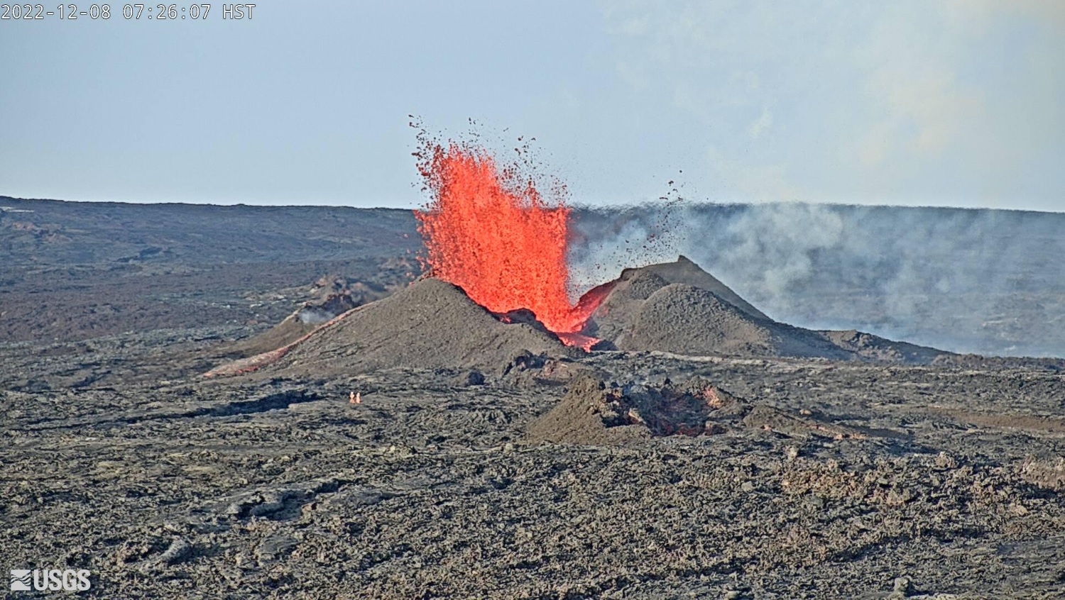 Pulsating lava fountains at Fissure 3 vent yesterday morning (image: USGS)