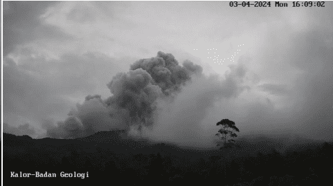 Phoenix clouds resulted from the pyroclastic flow at Merapi today (image: PVMBG)