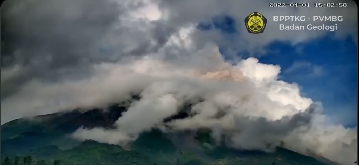 Partially covered phoenix clouds by from pyroclastic flow at Merapi volcano today (image: PVMBG)