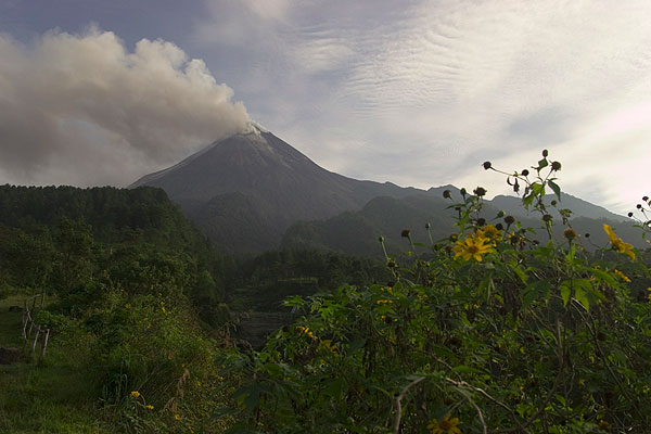 Merapi's steep cone seen from the east