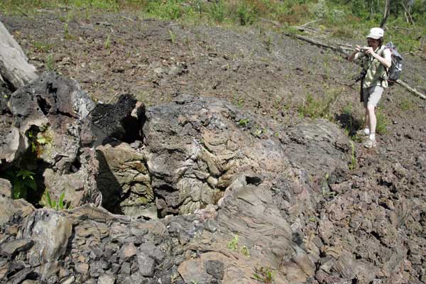 Lava trees on the lava flow of 2002