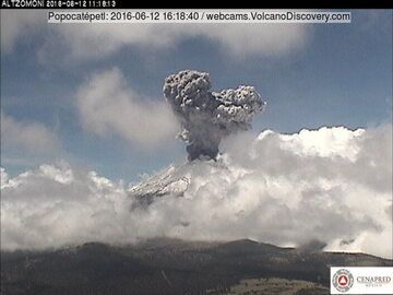 Mushroom cloud from Popocatépetl volcano yesterday (CENAPRED webcam)
