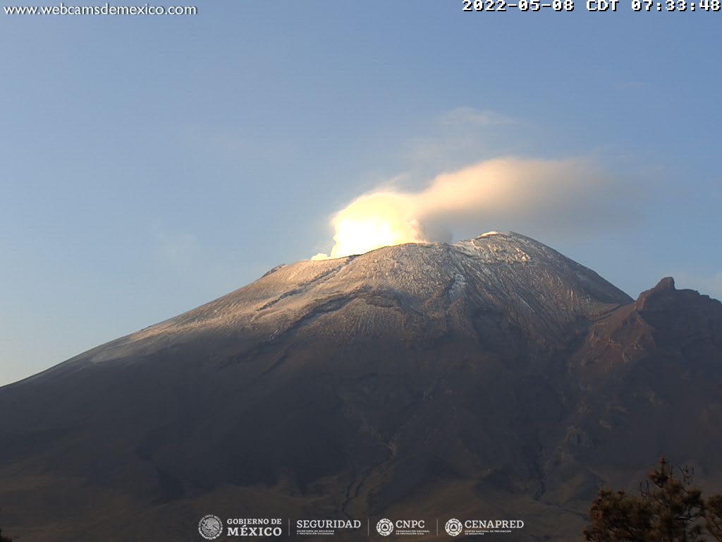 Water vapor and gas emissions from Popocatépetl volcano this morning (image: CENAPRED)