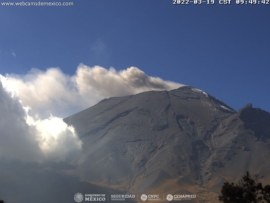 Degassing activity at Popocatépetl volcano yesterday (image: CENAPRED)